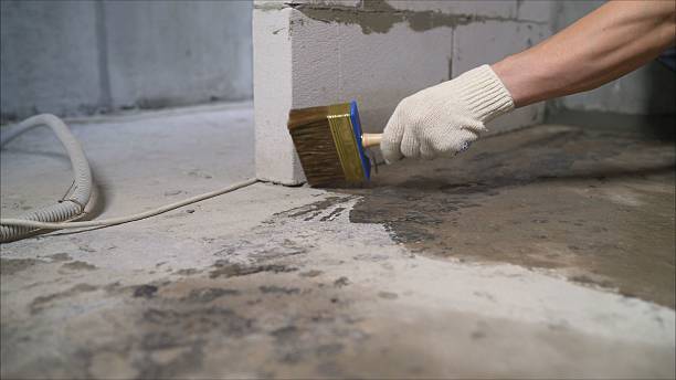 Top rated local Basement Waterproofing specialists in Mount Laurel, NJ